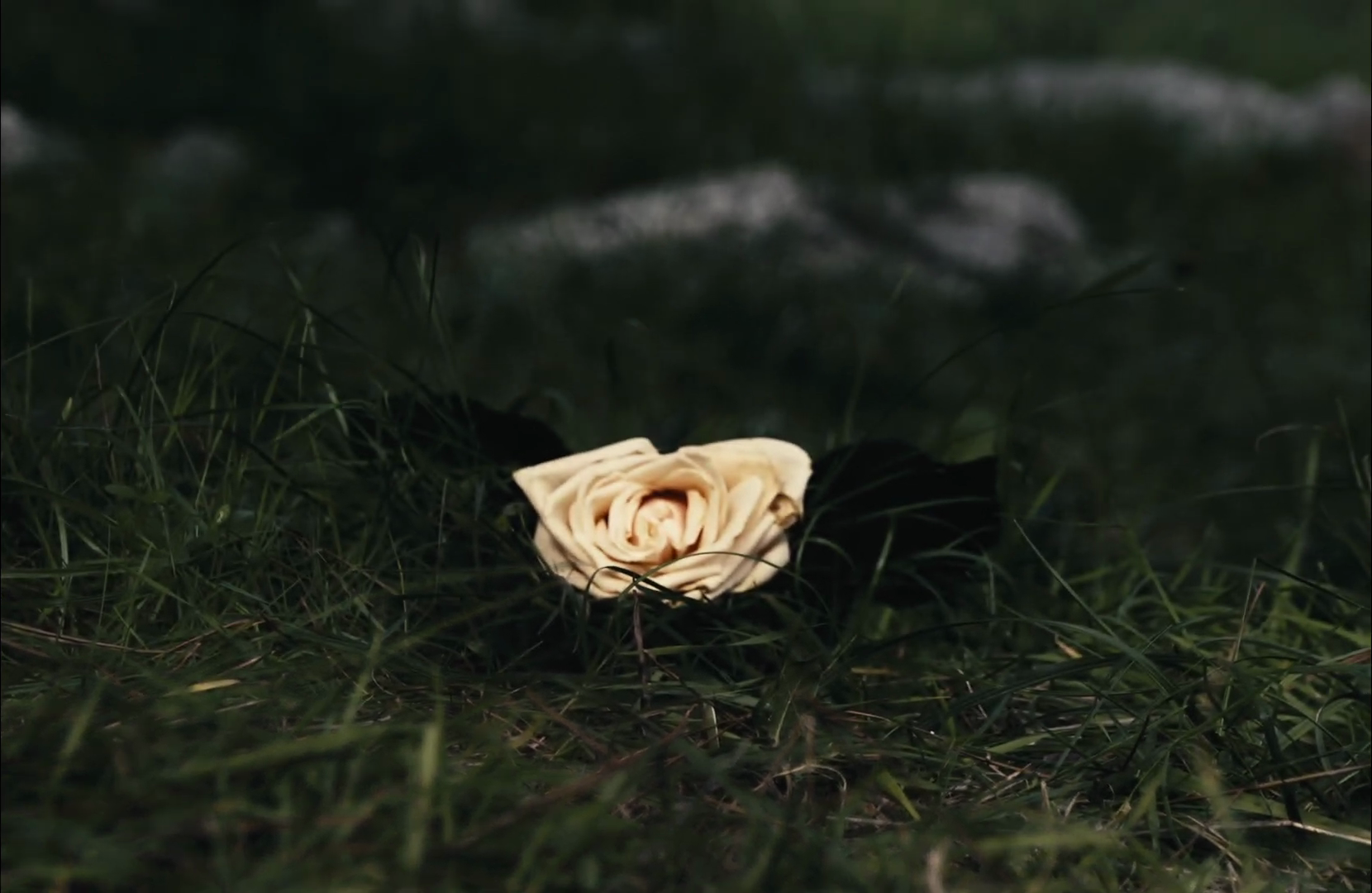 vlcsnap-2025-06-16-22h49m24s311