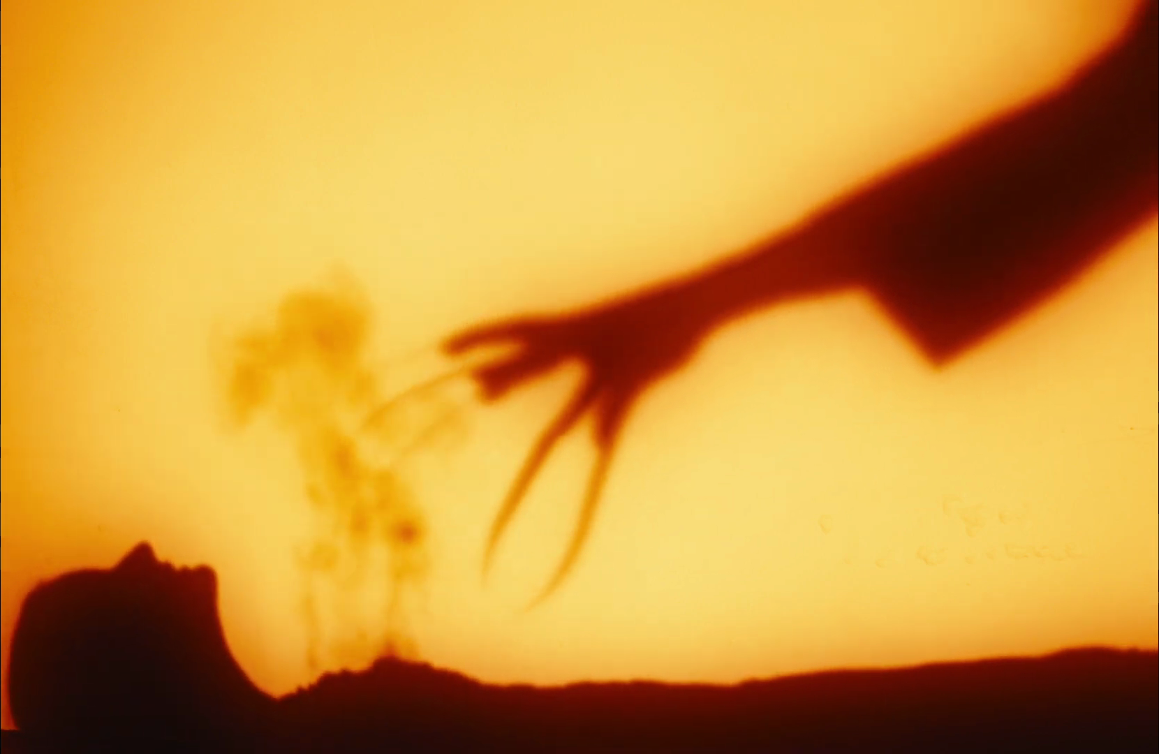 vlcsnap-2025-06-16-22h50m48s142