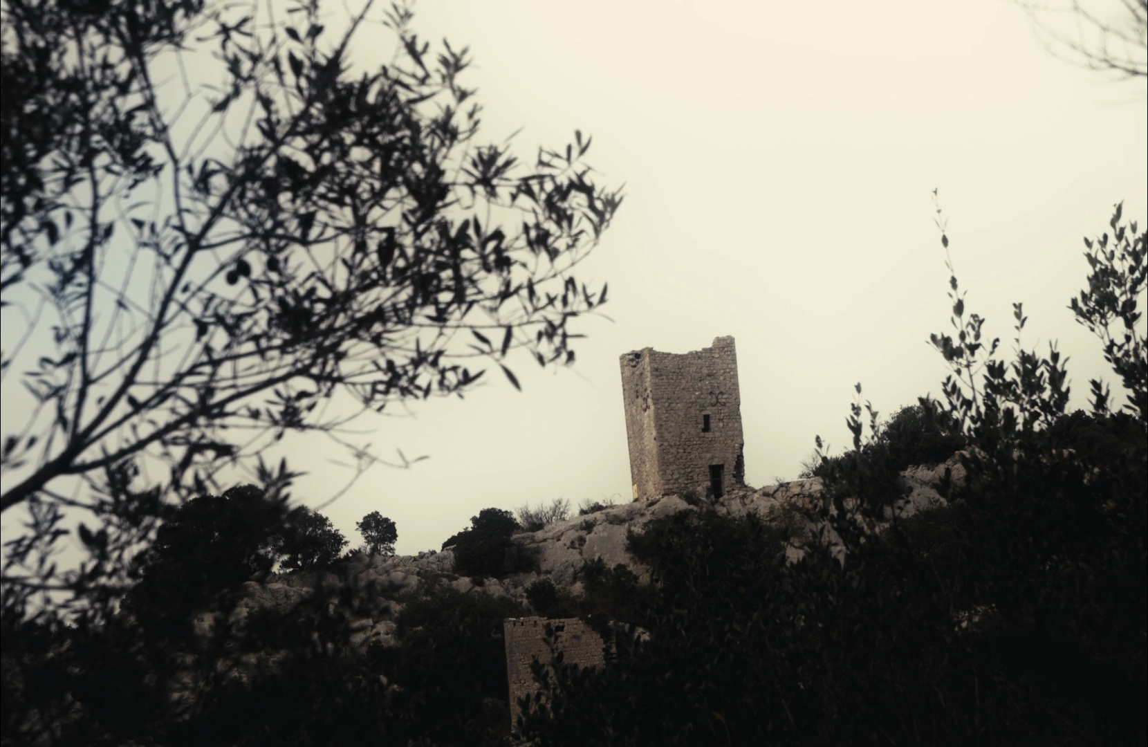 vlcsnap-2025-06-16-22h50m57s433