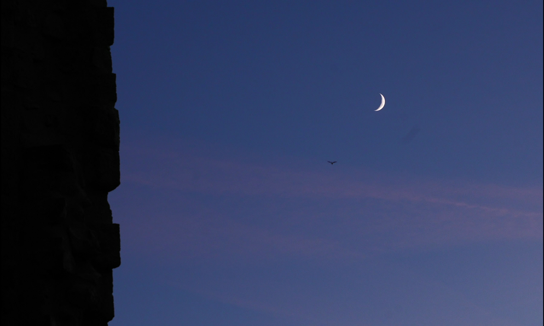 vlcsnap-2025-09-08-23h20m14s061