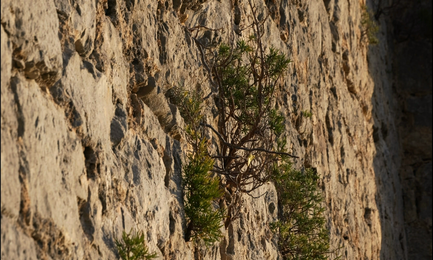 vlcsnap-2025-09-08-23h24m50s631