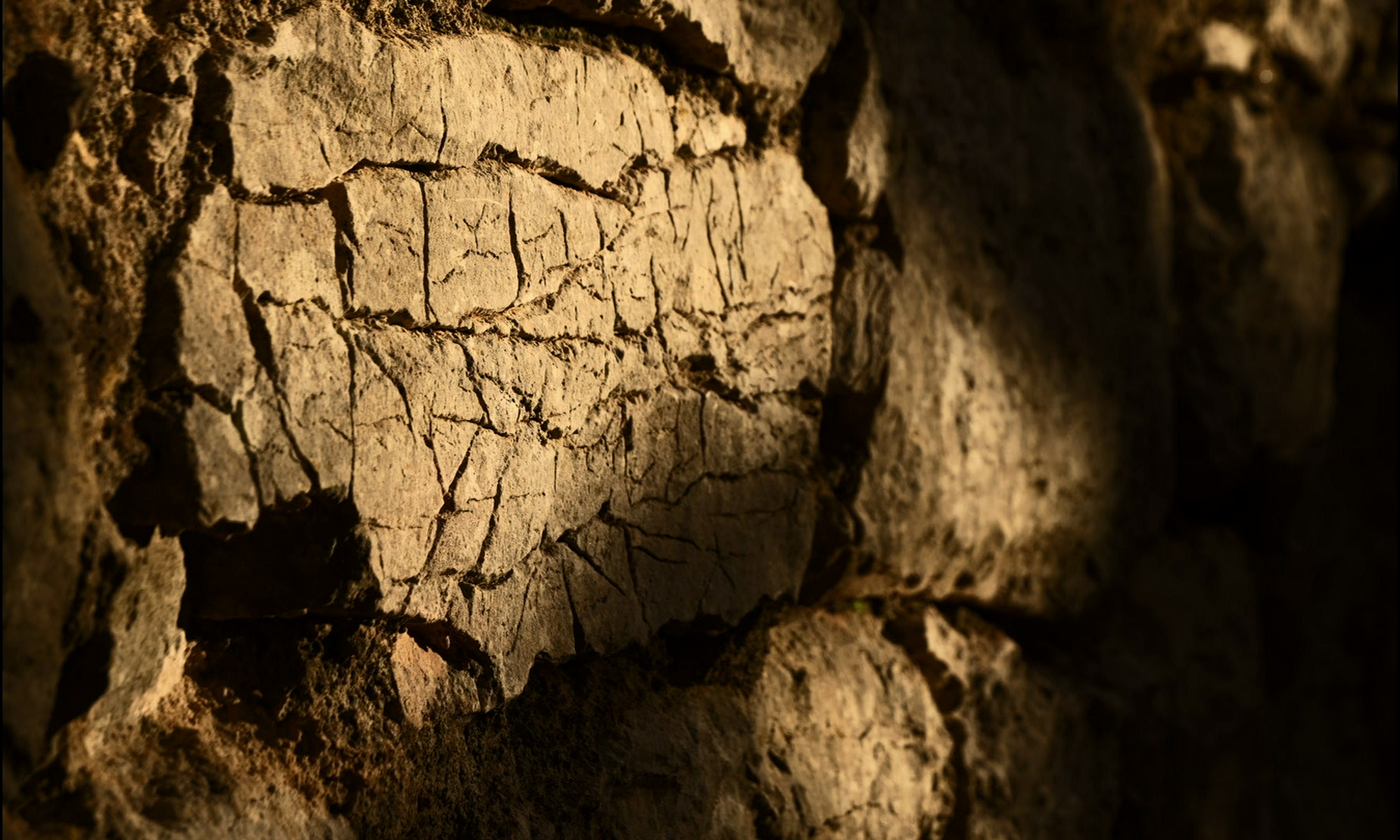 vlcsnap-2025-09-08-23h25m29s378