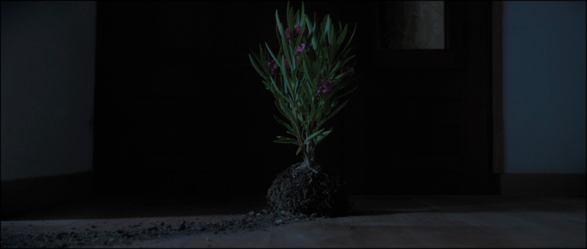 vlcsnap-2025-11-04-03h31m14s893