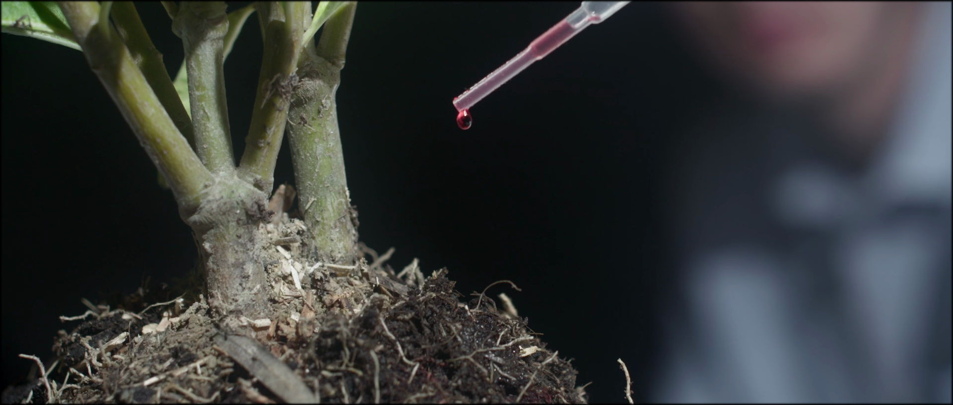 vlcsnap-2025-11-04-03h32m46s139