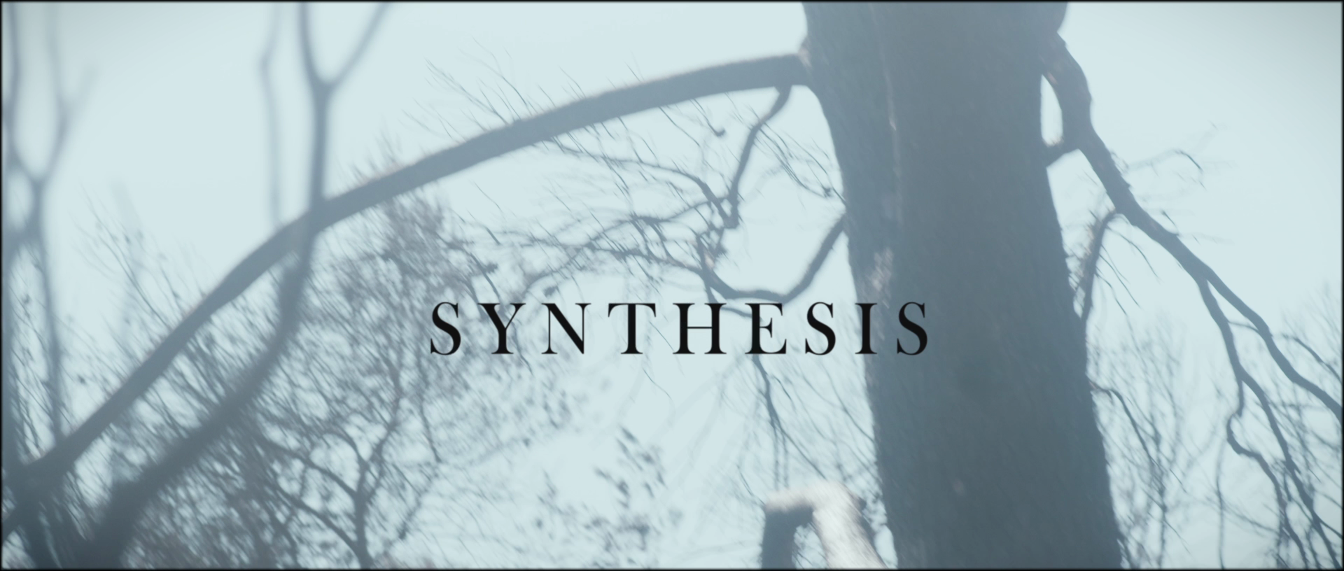 vlcsnap-2025-11-04-03h33m51s745