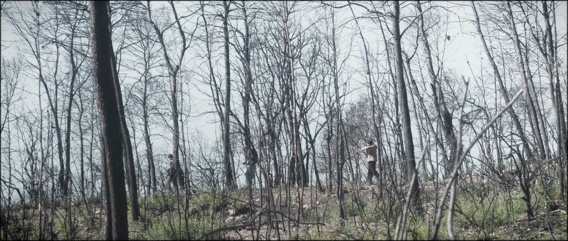 vlcsnap-2025-11-04-03h36m13s783