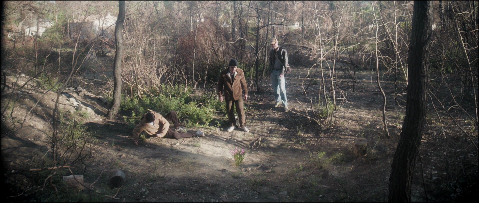 vlcsnap-2025-11-04-03h37m23s098