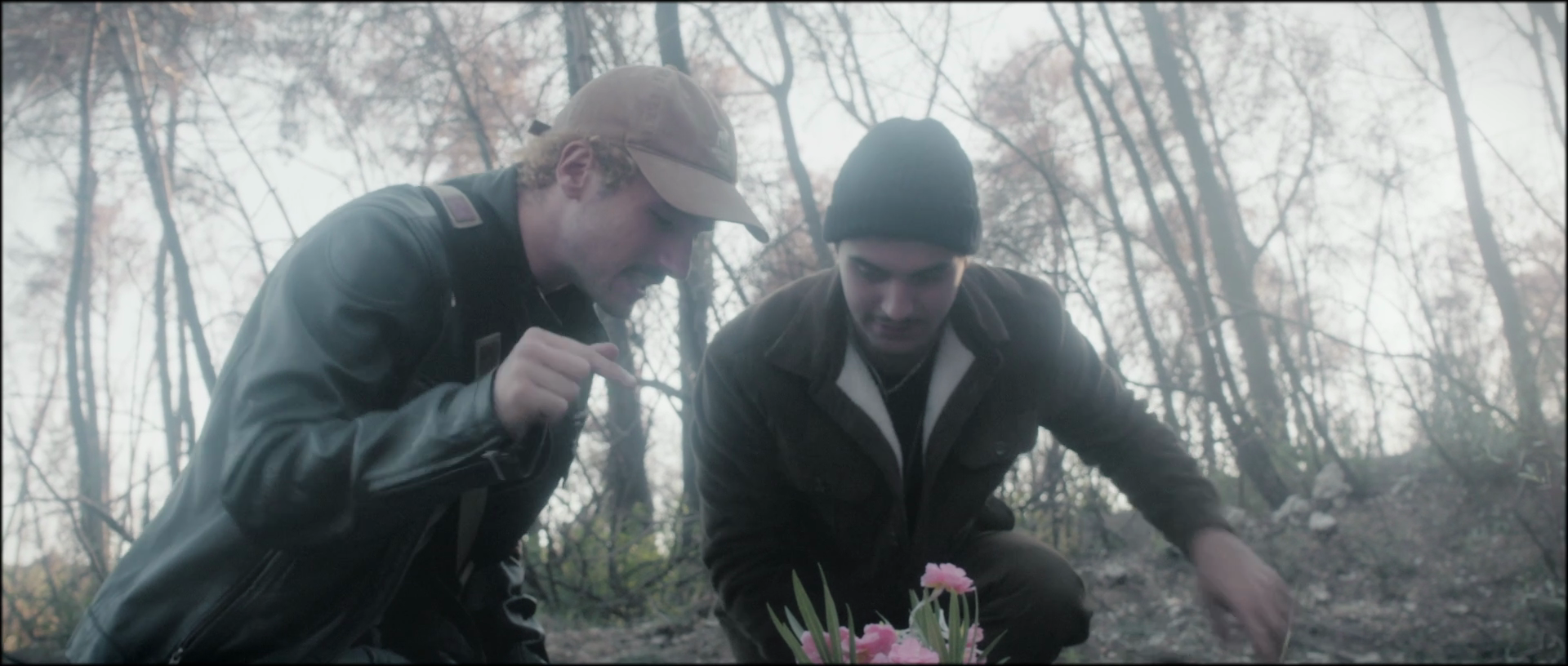 vlcsnap-2025-11-04-03h37m45s783